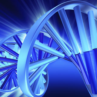 24 Strand DNA Activation